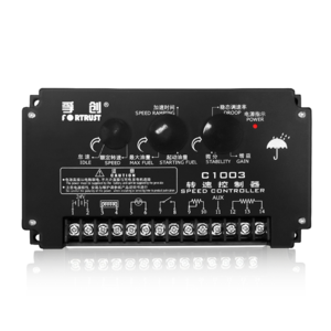 C1003